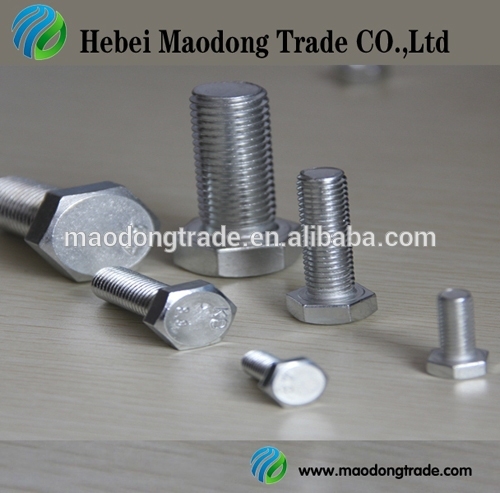 High quality grade 8.8 Hot dip galvanized bolts nuts