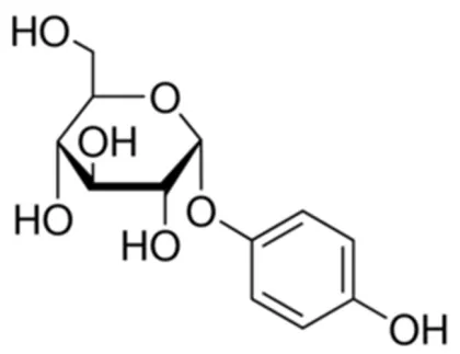 Alpha arbutin 99.5% the raw material for whitening