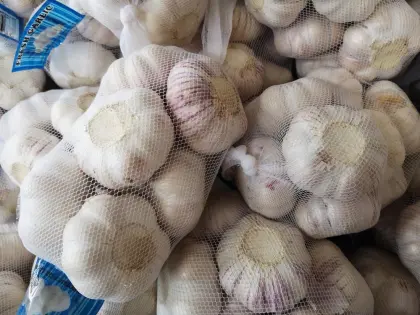 NORMAL white garlic jinxiang