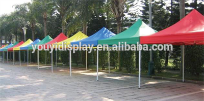 Hot Sale Aluminum Event tent