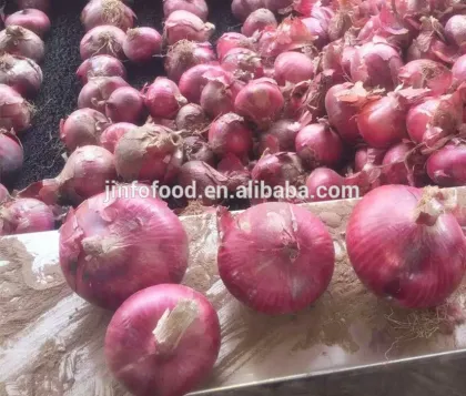 Fresh red onion