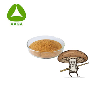 Health Care Shiitake Mushroom Extract Lentinan 50% Powder