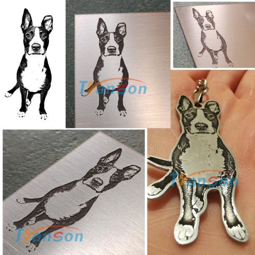 Mini Fiber Laser Engraving Machinery For Dog Tags