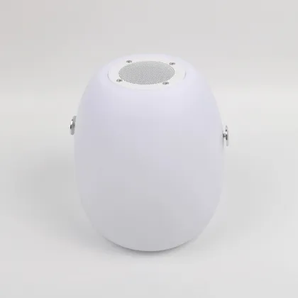 Smart Lamp With Speaker