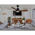 Best Selling Modern Housing Decorative ceiling fan