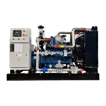 High Quality Mini Biogas Plant - 8kw, 10kw, 15kw Affordable Prices