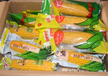 High Quality Good Tasty Sweet Corn