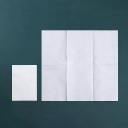 Personalized Mini Meadows Home Wet Handkerchief Pack