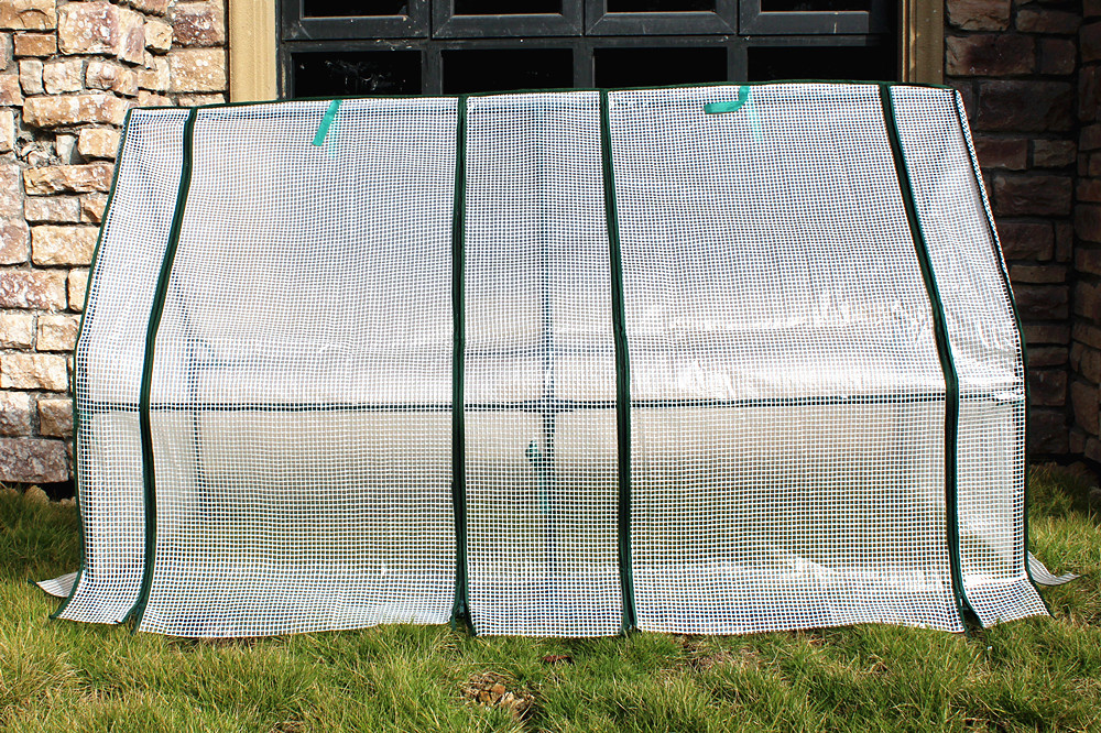 Small Size Single Film Greenhouse