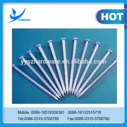 Nail gun nail framing/concrete nails/common nails