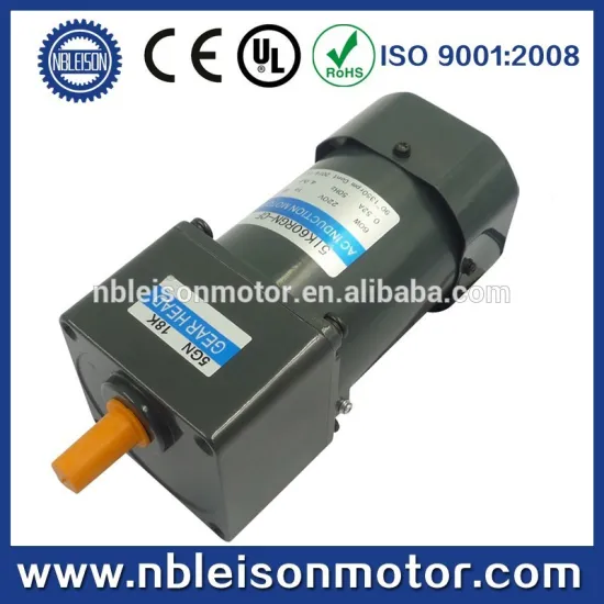 60w 110v 220v 50hz 20N.m high torque ac small gear motors