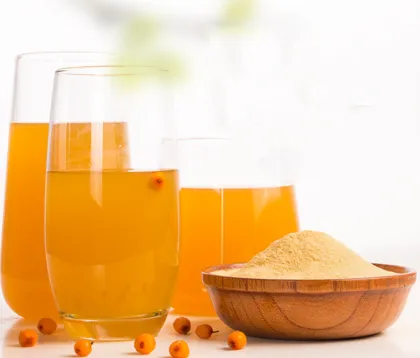 Seabuckthorn Powder seabuckthorn extract