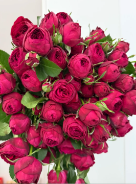 Fresh Cut Red Lace Spray Rose for Wedding