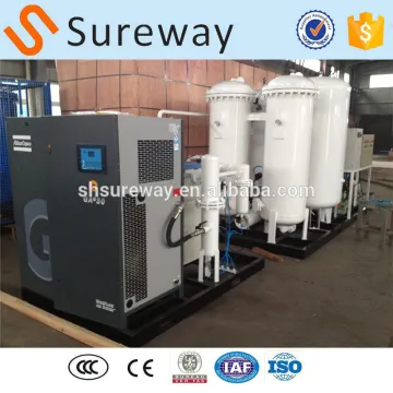 N2 Plant PSA Nitrogen Generator Price