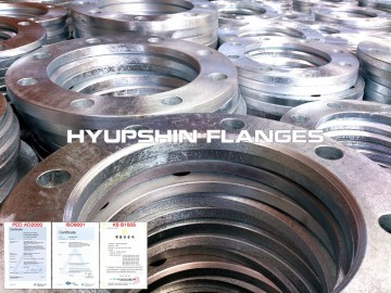 Hot Dipped Galvanized Backing Ring BR Flange