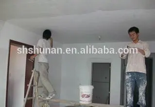 paint wall putty powder