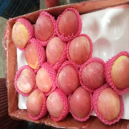 Paper Bagged Sweet Soft Qinguan Apples Fruits