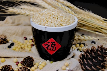 Brown Rice Foods Products