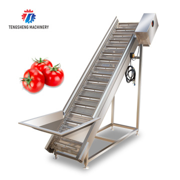 Food Grade Belt Conveyor Machine for Efficient Fruit Handling in the Food Industry