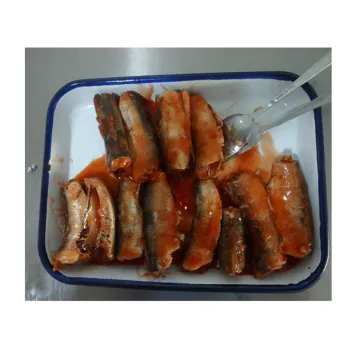 canned sardines with tomato sauce with chili,crude sardine fish with tomato sauce,frozen sardine fish