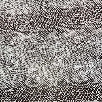 Fdy Spandex với Snakeskin Foil