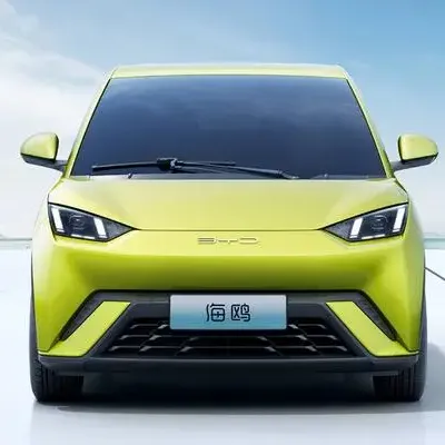 BYD New Energy Electric Vehicles: Innovations in Electric Motors for Small Cars and Energi Models