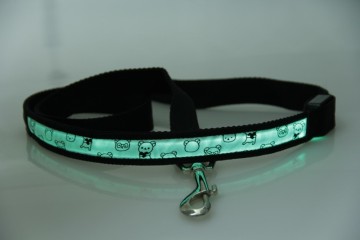 LED Flashing Light Leash Dog Safety Leads