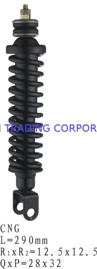 Motorcycle Parts Shock Absorber Cng