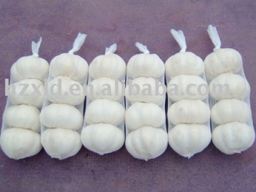 Garlic In 4 Pcs