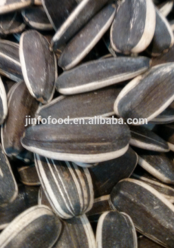 Sunflower Seeds 5009