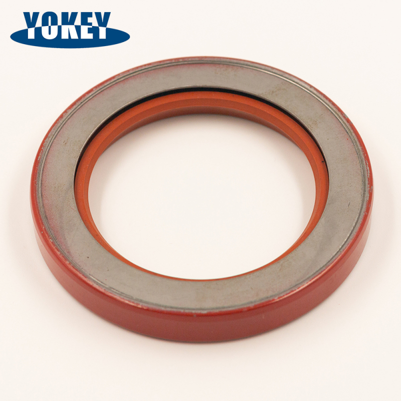 Double Lip Rotary TC Oil Seal/ oil seal hydraulic seal