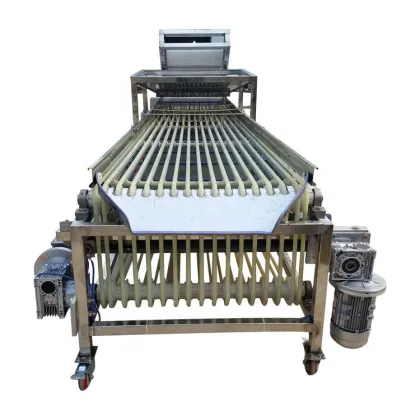 Fruit Pre-sizing Machine for Medjool Dates, Jujube, Dattes, and Plums Sorting