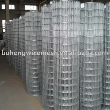 Galvanized Welded Wire Mesh(Factory)