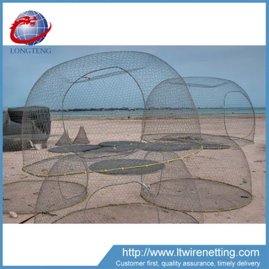 Anping wholesale Woven fishing net mesh wire