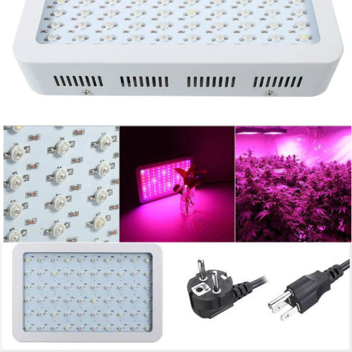 Las mejores luces de cultivo de plantas led para el crecimiento vegetativo