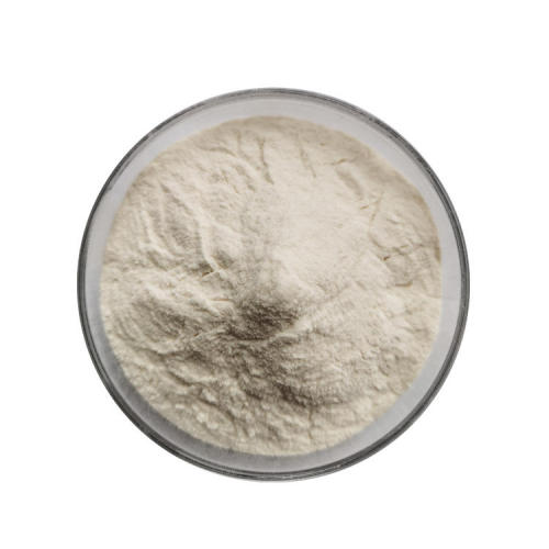 Natural Coix Seed Powder for Food & Beverage