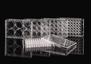 NEST Cell Culture Plate 6 - 384 wells