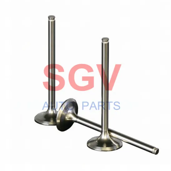 7701465172 Intake Valve and 7701465173 Exhaust Valve for Engine