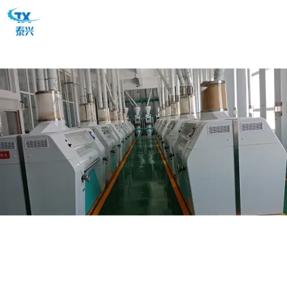 TAIXING Couscous Production Line
