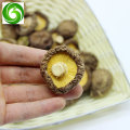 High-quality organic shiitake mushrooms, pure and natural, enhance immunity, anti-aging