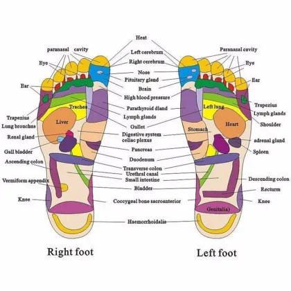 Natural Pebble Foot Massage Shoes Acupuncture Point Cobble Therapy Massage Slippers Health Sandals Feet Elderly Care Shoes