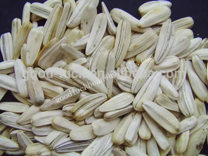 Sunflower White Seeds Roasted