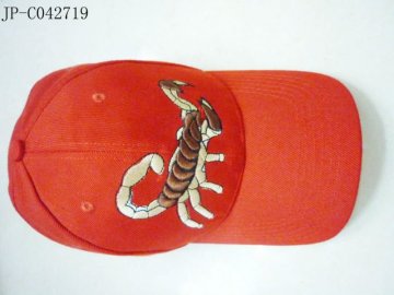 2012 6 panels fashional sport cap
