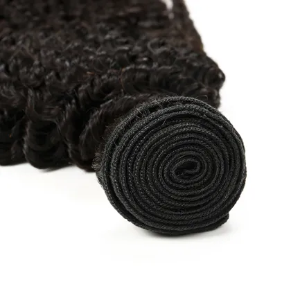 Curly Weave Human Hair Afro Kinky Curly Clip in Hair Extensions/Kinky Curly Virgin Hair