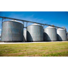 High-efficiency screw feeder bin for pulses