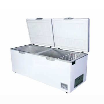 Commercial Professional Refrigerator and Freezer Manufacturer - Horizontal Single Door Ice Cream Freezer