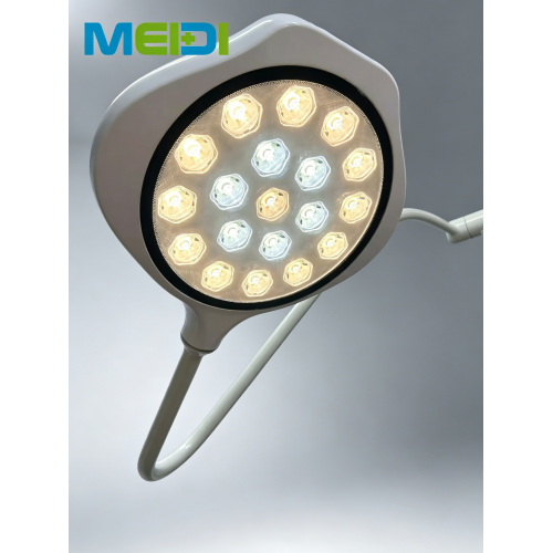 Portable Mobile LED Examination Light for Dental & Veterinary Surgical Lighting