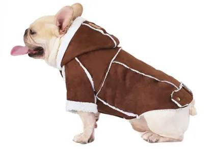 Dog jacket petco for cold weather
