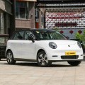JAC E30X Yiwei 2025 Modelo 330km Edición Libertad
