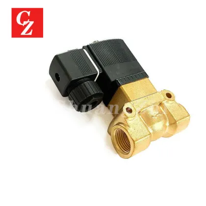 Solenoid Valve for Boge Compressor 1-14Bar 60Hz 220V 1/2